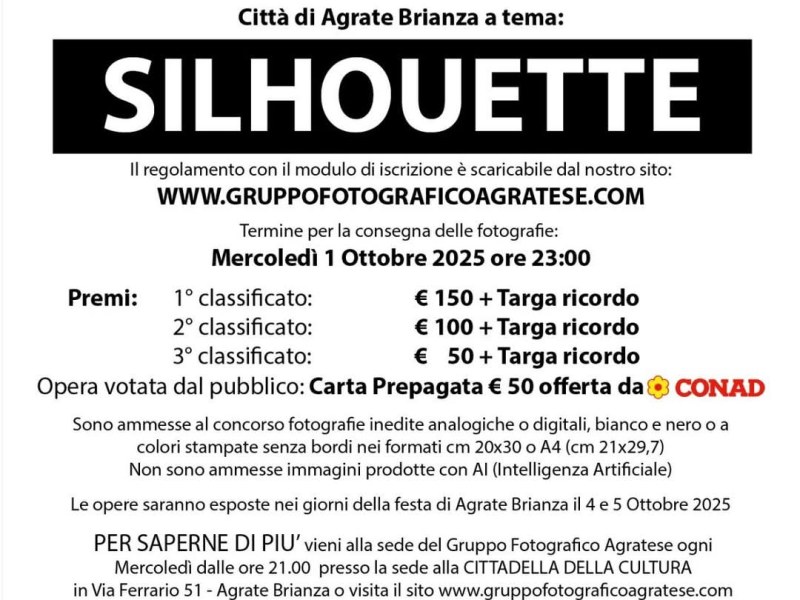 Il titolo per il XX° concorso fotografico citta’ di Agrate Brianza e’ Silhouette